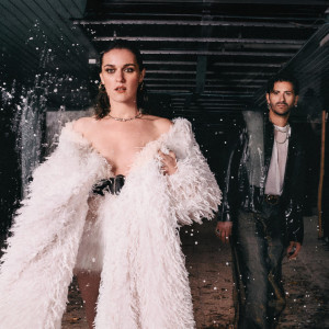 Bandit Bandit + Sybr17