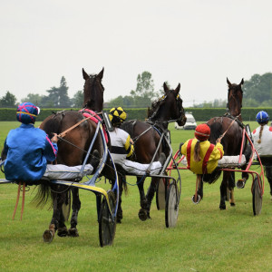 Courses de Chevaux