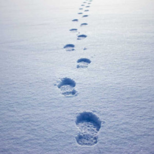 Des pas dans la neige