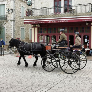 Fête du cheval