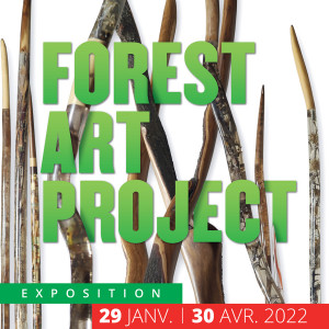 Forest Art Project