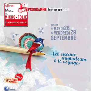 Les oiseaux migrateurs & le voyage