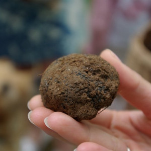 Marché aux truffes et gourmand