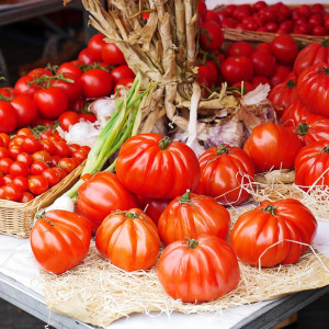 Marché de Cancon