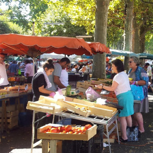 Marché fermier de Jasmin