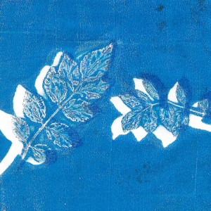 Rando en bleu