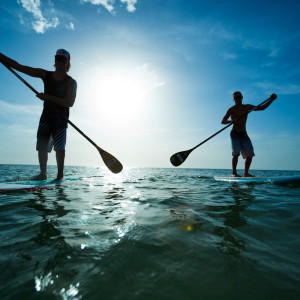 Sophro Paddle