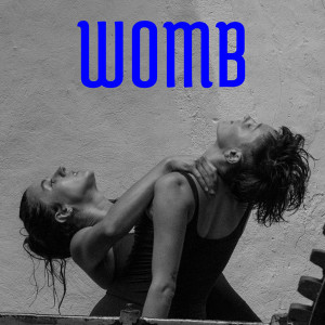 Womb